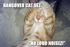 LOLCats, Hangover cat says no loud noises!