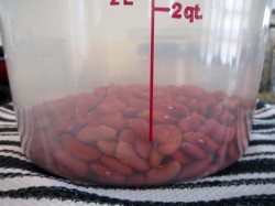 Salt-soaking the kidney beans