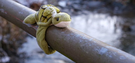 A toy stuffed tortoise atop a metal bar. Its front legs are wrapped around the bar as if it is stuck there and can't get down.