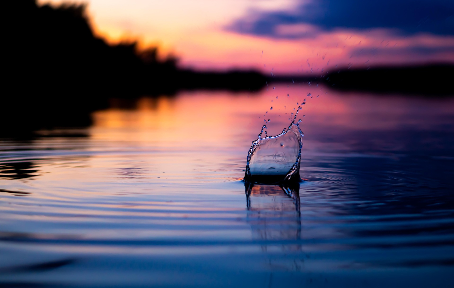 Splash and ripples in a pond after a stone has been thrown. The picture is shot at sunset with orange and pink skies behind and reflecting off the water.